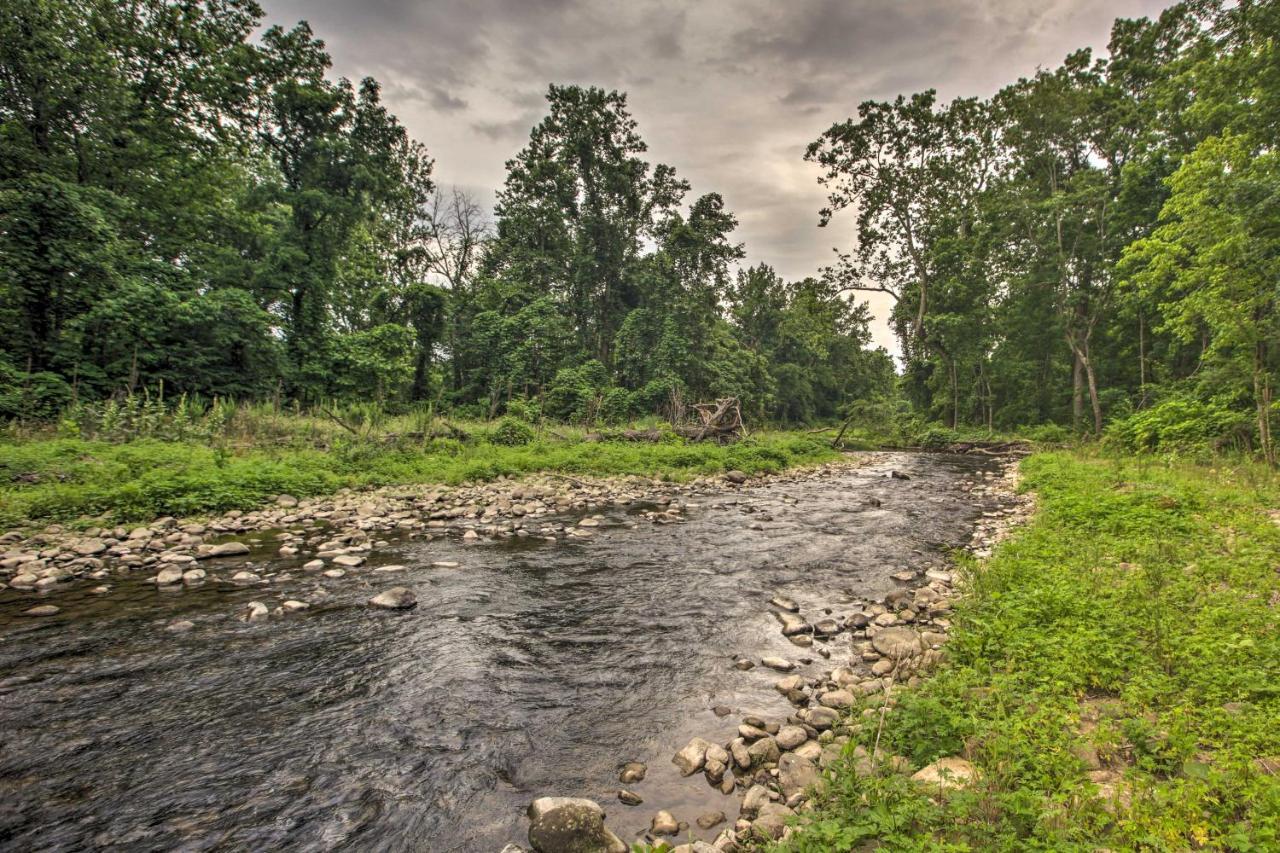 Secluded Stanardsville Cabin With 10 Acres And Hot Tub Exteriör bild